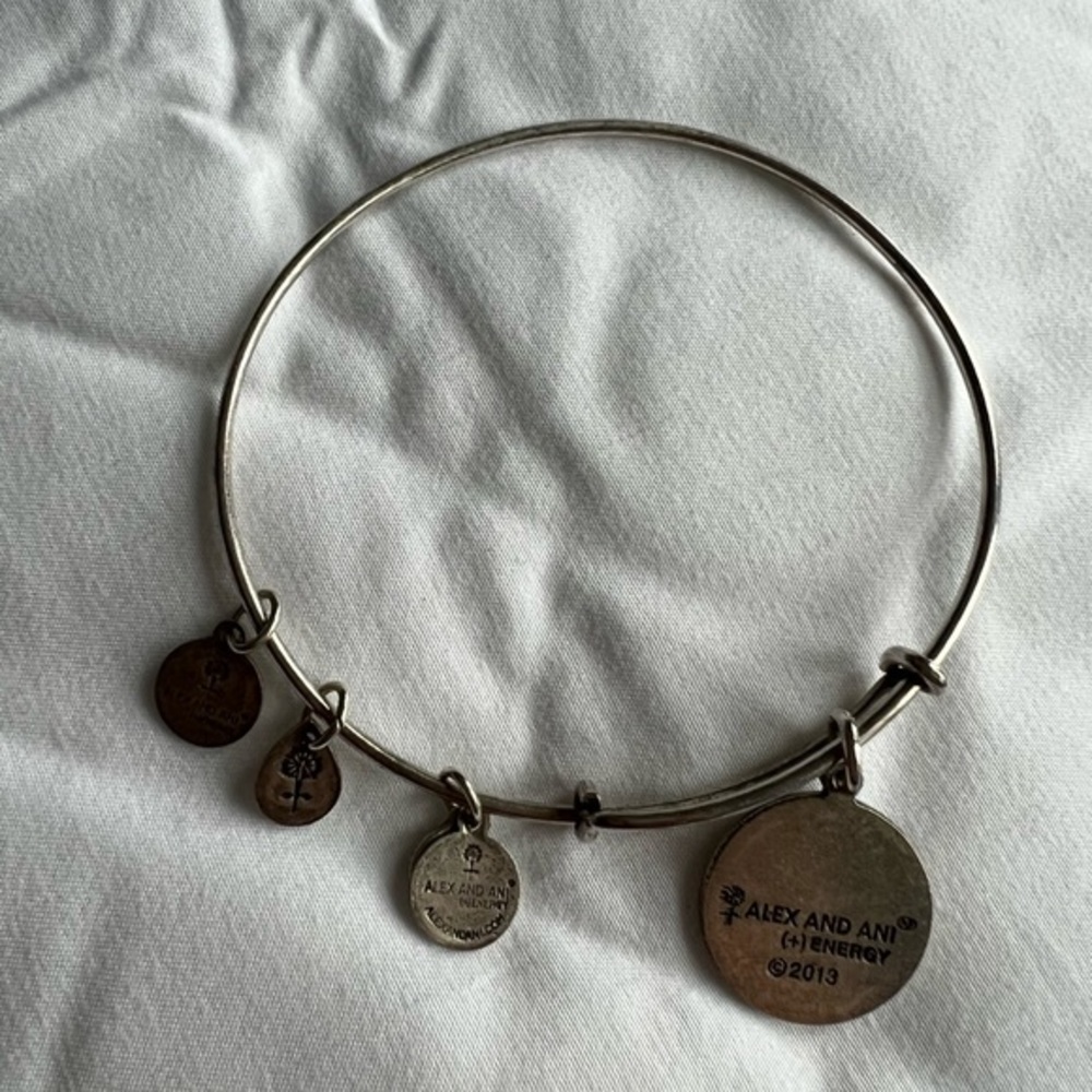 Alex and Ani Charm Bracelet-‎ Jewlery